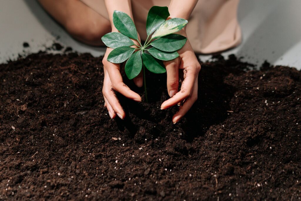 what is the Role of Compost in Soil Aeration