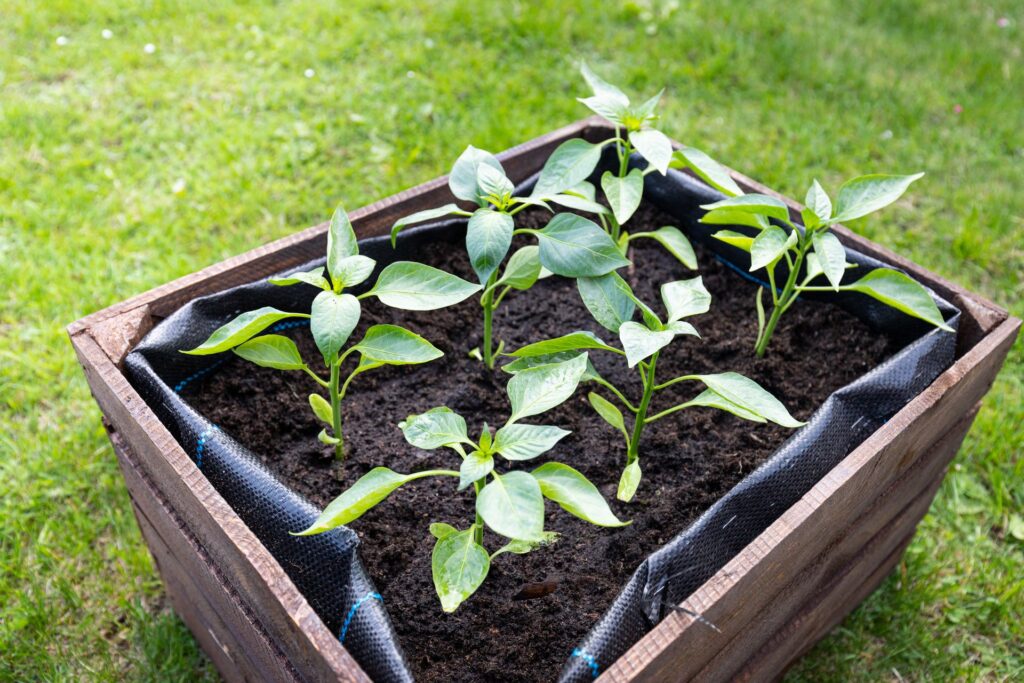 How to Understand Garden compost Depth