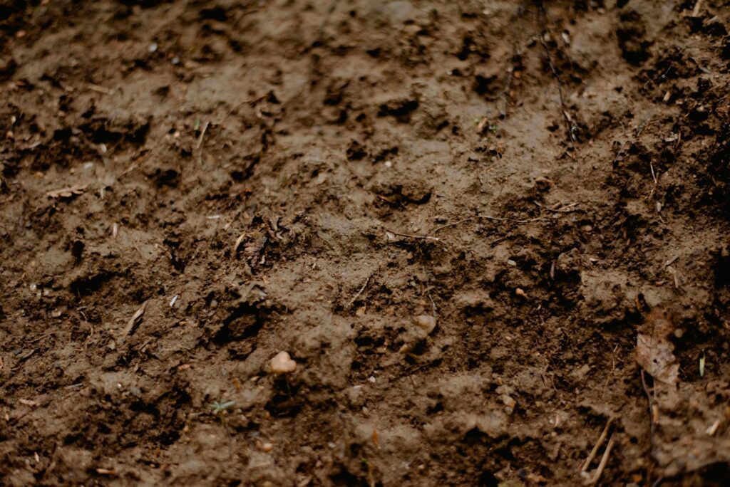What Really Happens in the Garden Without Proper Calculation