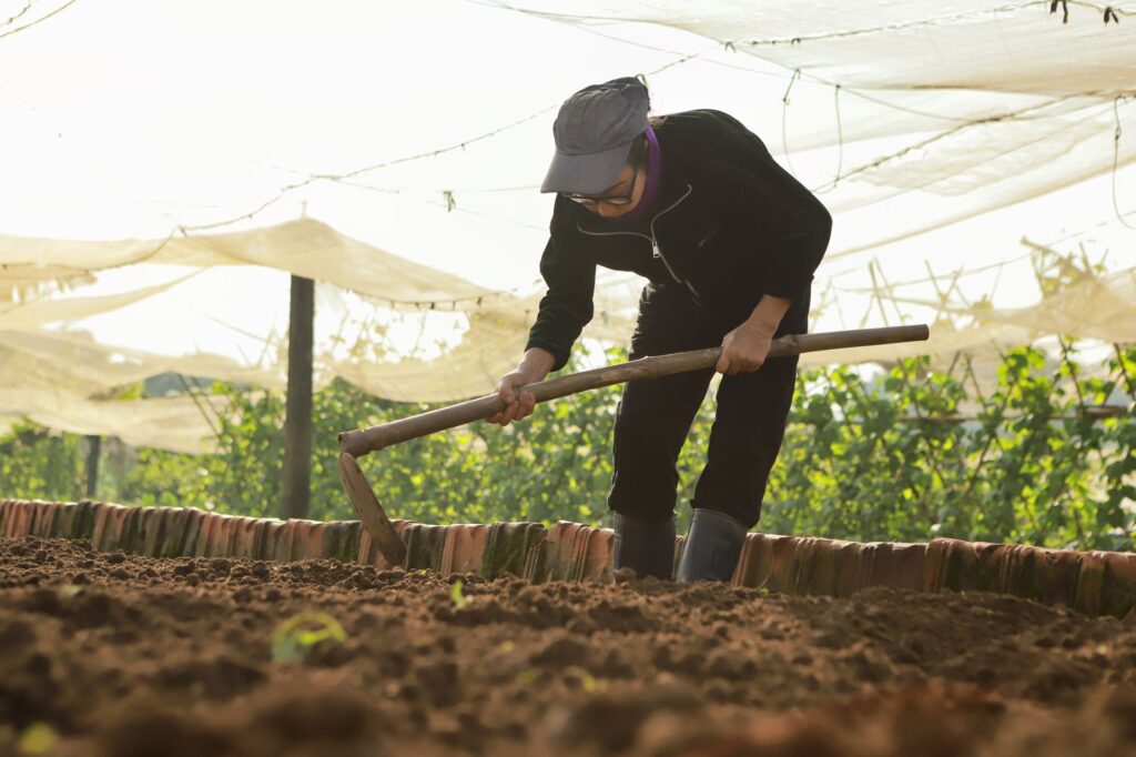 Why Soil Structure Matters for Plants