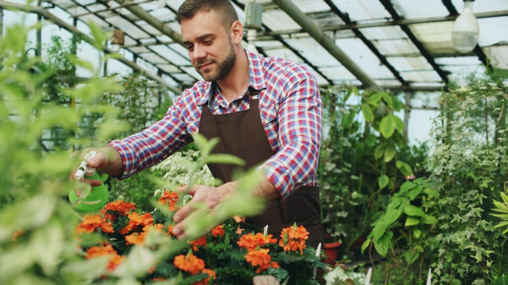 Common Mistakes Gardeners Make With Spacing