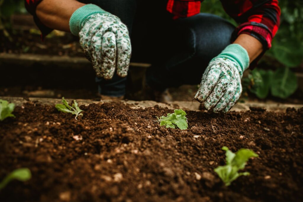 Common Mistakes That Ruin Good Soil Mixes
