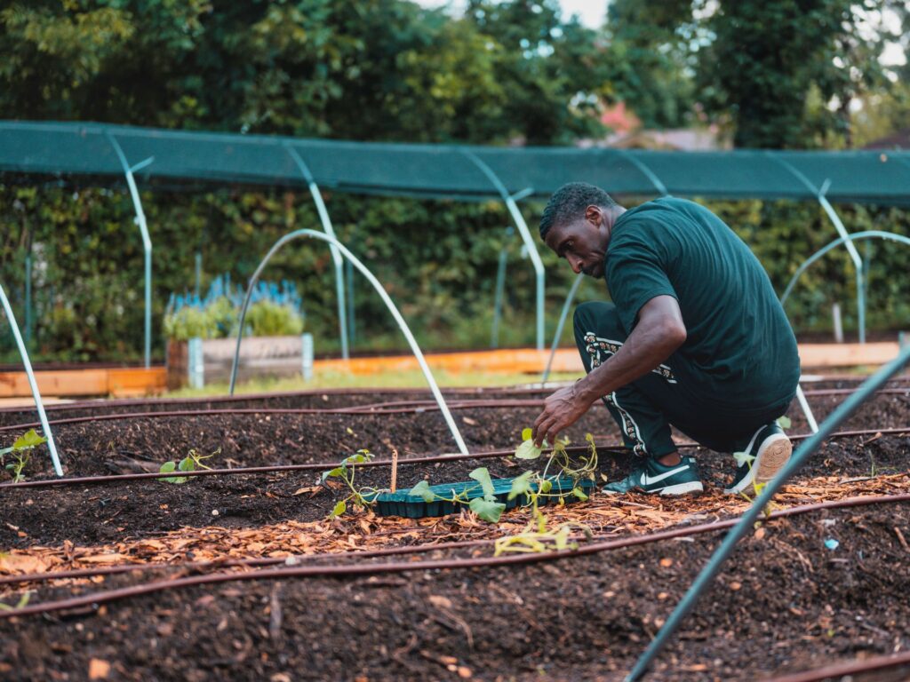 Companion Planting and Its Influence on Spacing