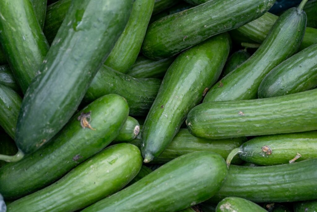 Best spacing for cucumbers in garden