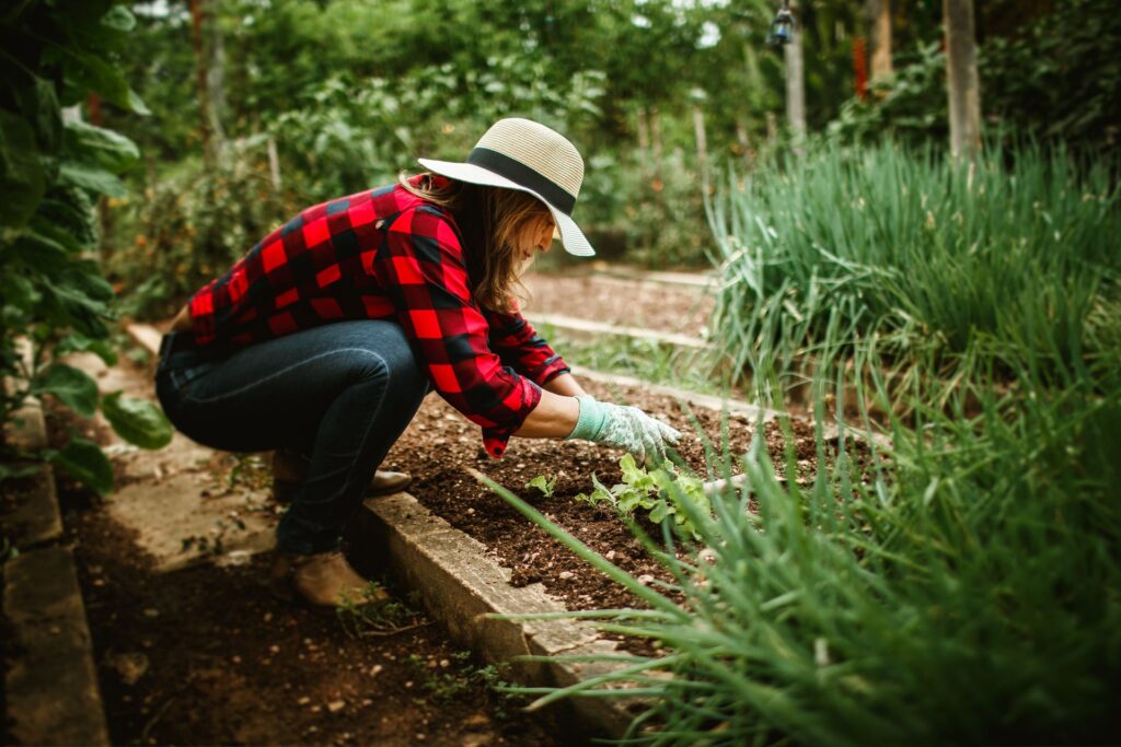 Depth Considerations for Container Gardening Alongside Vego Beds