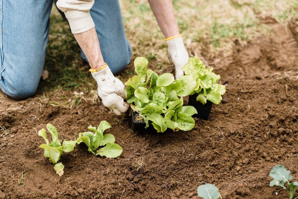 How to Estimate Soil, Mulch, and Seed Needs