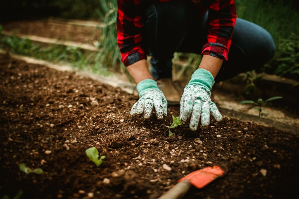 Planting Tips for Vego Garden