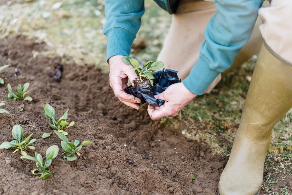 How to Get the Soil Foundation Right For your Garden