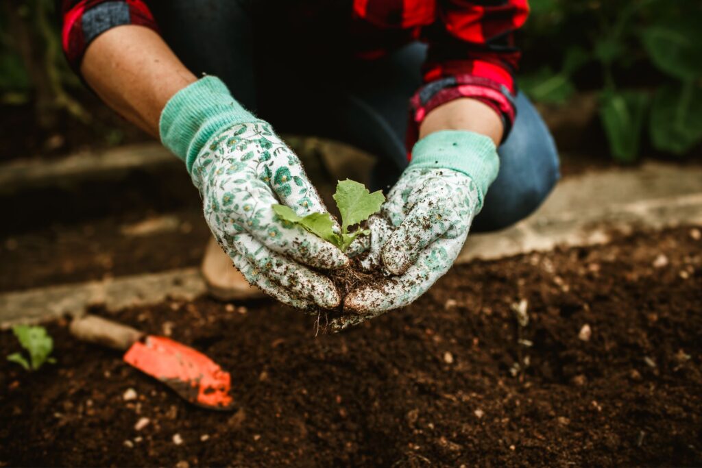 How to Calculate Plant Spacing Step by Step