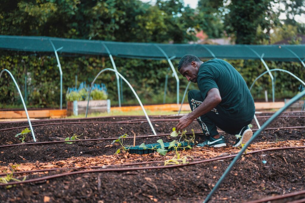Calculate Plant Spacing in Garden