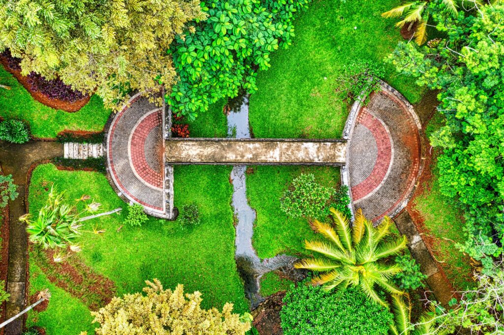 Best Large Yards Layout Ideas 