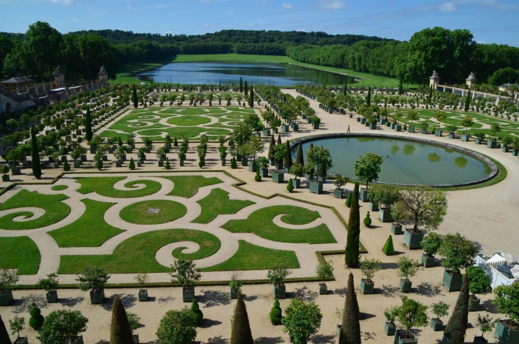 Best Layout Ideas by Yard Shape