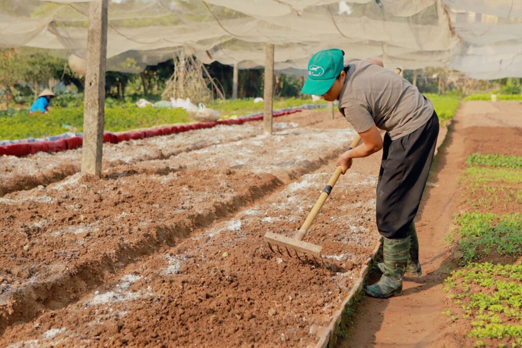 How to Maintain Soil Quality Season After Season