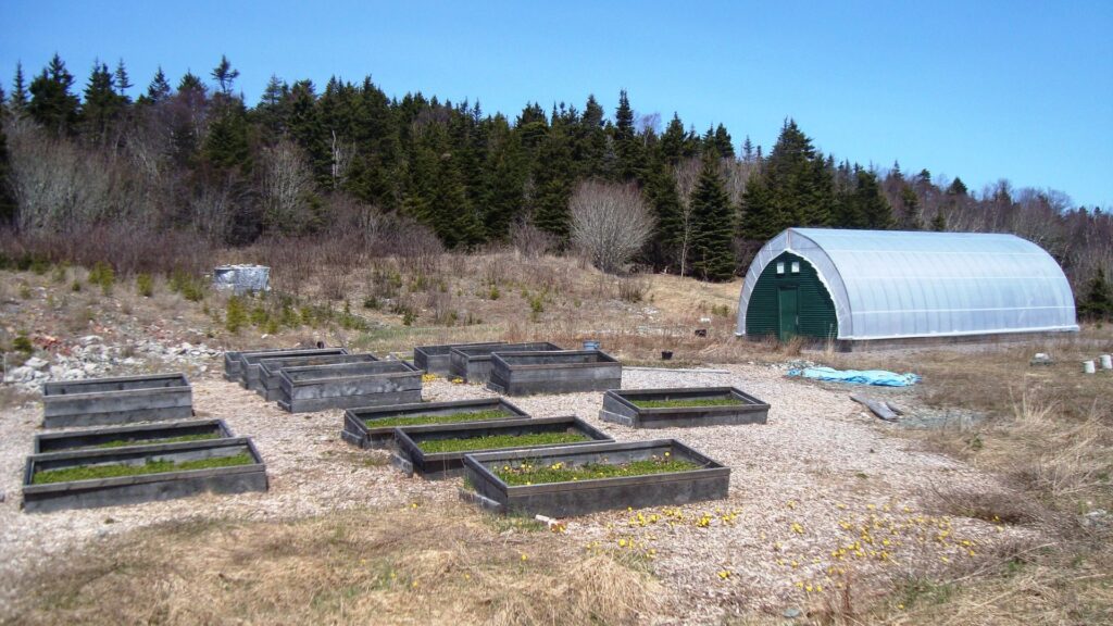 Plant Spacing for Raised Beds vs In-Ground Gardens